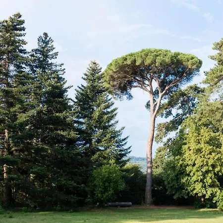 Hotel Chateau De Montcaud 5*