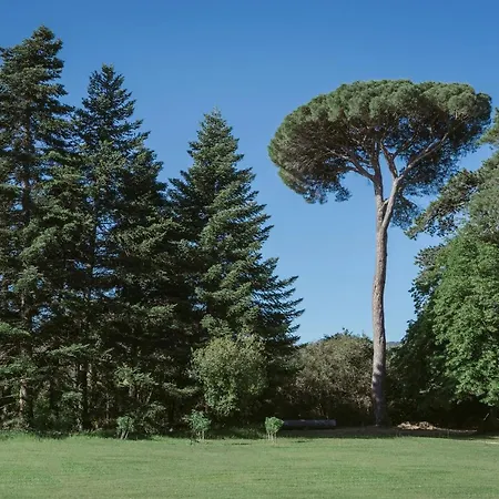 Chateau De Montcaud 5*