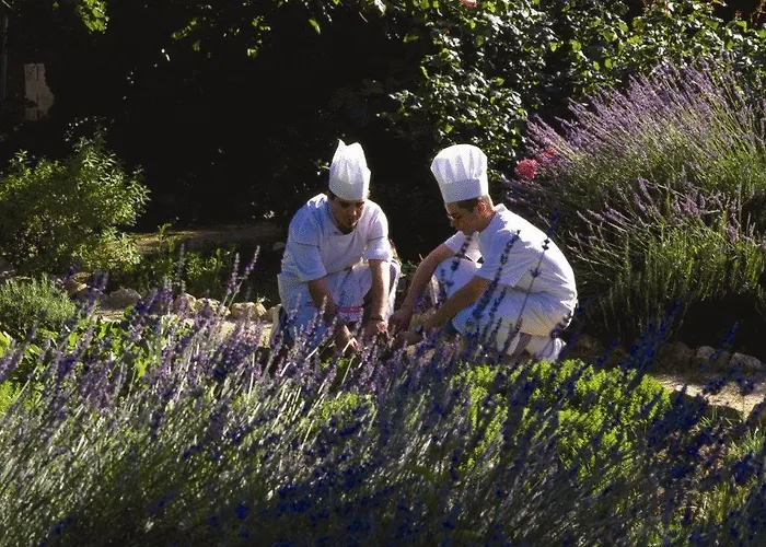 Château De Montcaud