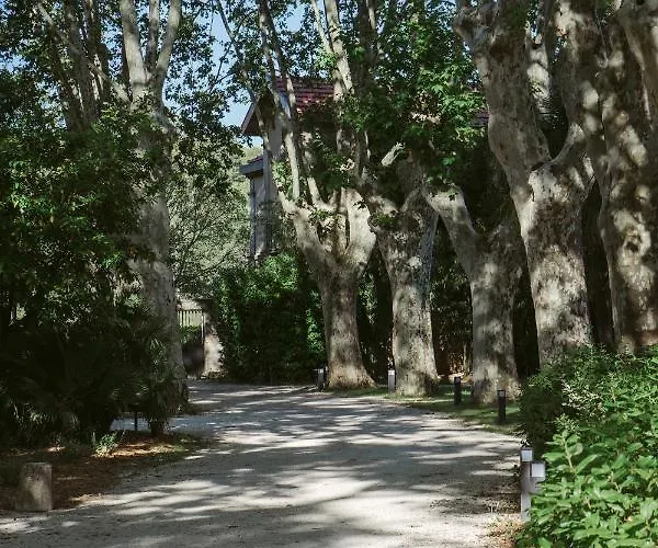 Château De Montcaud 5* Sabran