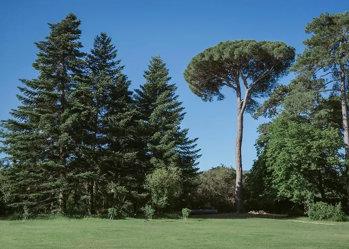 Château De Montcaud 5*